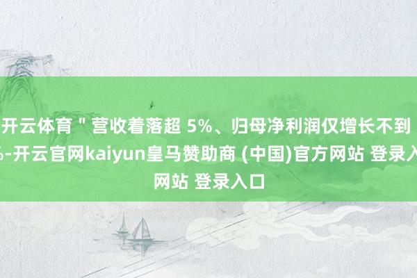 开云体育＂营收着落超 5%、归母净利润仅增长不到 2%-开云官网kaiyun皇马赞助商 (中国)官方网站 登录入口