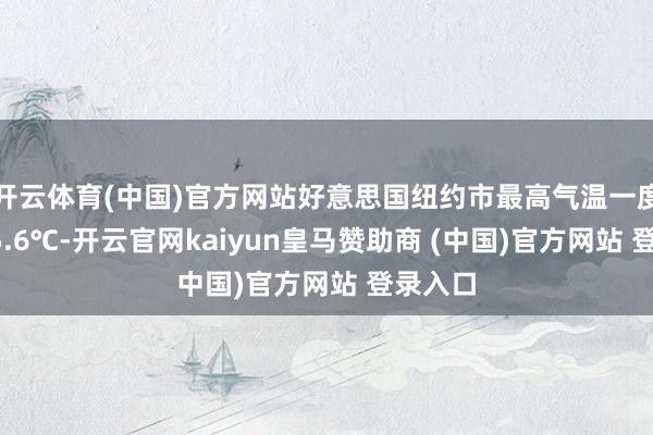 开云体育(中国)官方网站好意思国纽约市最高气温一度达到35.6℃-开云官网kaiyun皇马赞助商 (中国)官方网站 登录入口