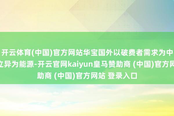 开云体育(中国)官方网站华宝国外以破费者需求为中枢、以技巧立异为能源-开云官网kaiyun皇马赞助商 (中国)官方网站 登录入口
