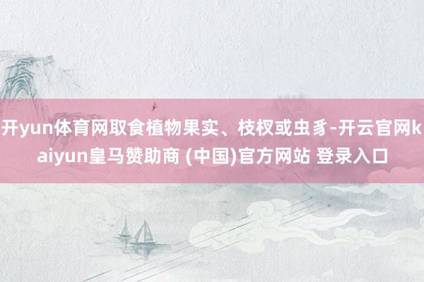 开yun体育网取食植物果实、枝杈或虫豸-开云官网kaiyun皇马赞助商 (中国)官方网站 登录入口