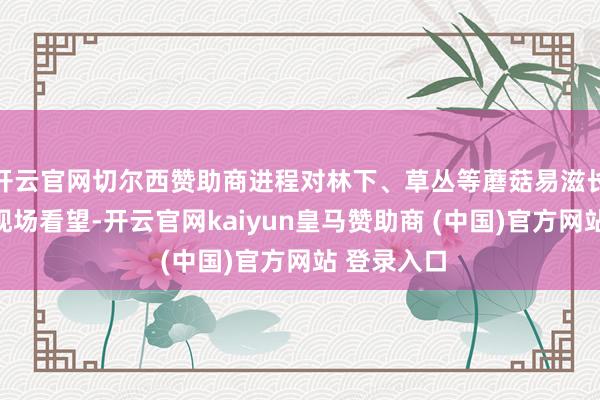 开云官网切尔西赞助商进程对林下、草丛等蘑菇易滋长环境进行现场看望-开云官网kaiyun皇马赞助商 (中国)官方网站 登录入口